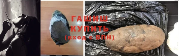сатива Кулебаки