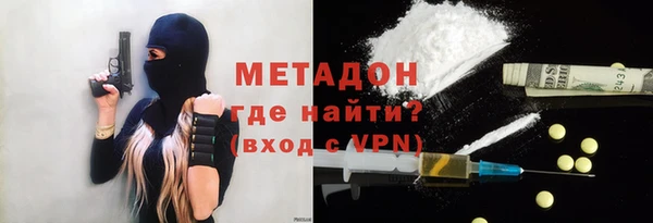 сатива Кулебаки