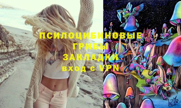 дмт Кукмор