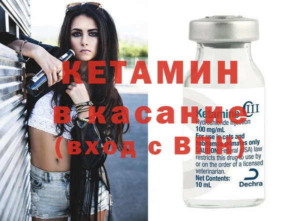 сатива Кулебаки