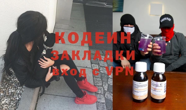 сатива Кулебаки