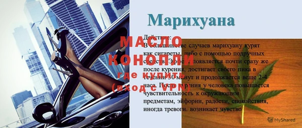 сатива Кулебаки