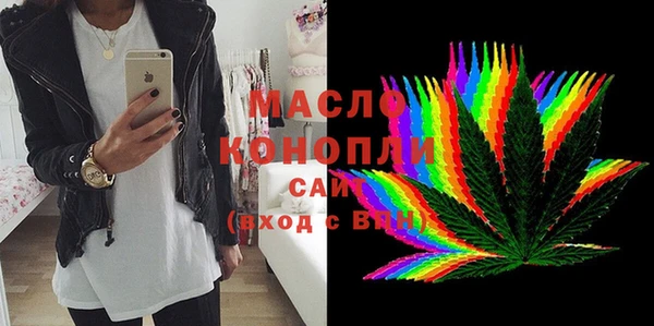 сатива Кулебаки