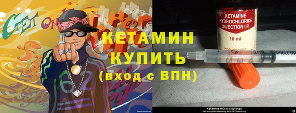 сатива Кулебаки
