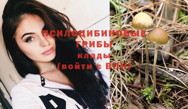 дмт Кукмор
