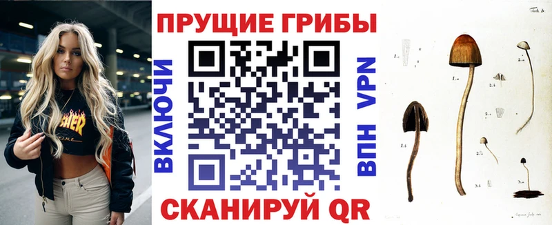 Галлюциногенные грибы GOLDEN TEACHER Пушкино